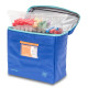 Bolsa Isotermica para Analisis Clinicos Cool´S Bolsa Isotermica para Analisis Clinicos Cool´S